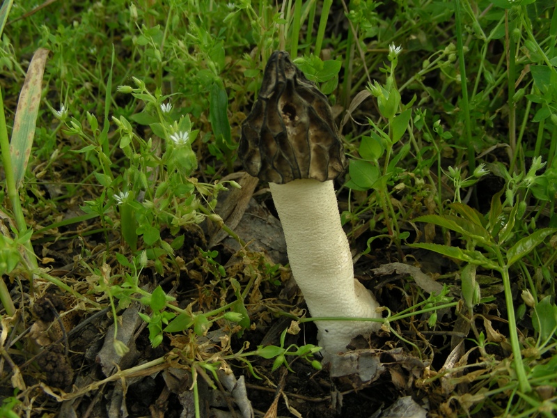 altro sopralluogo nei parchi